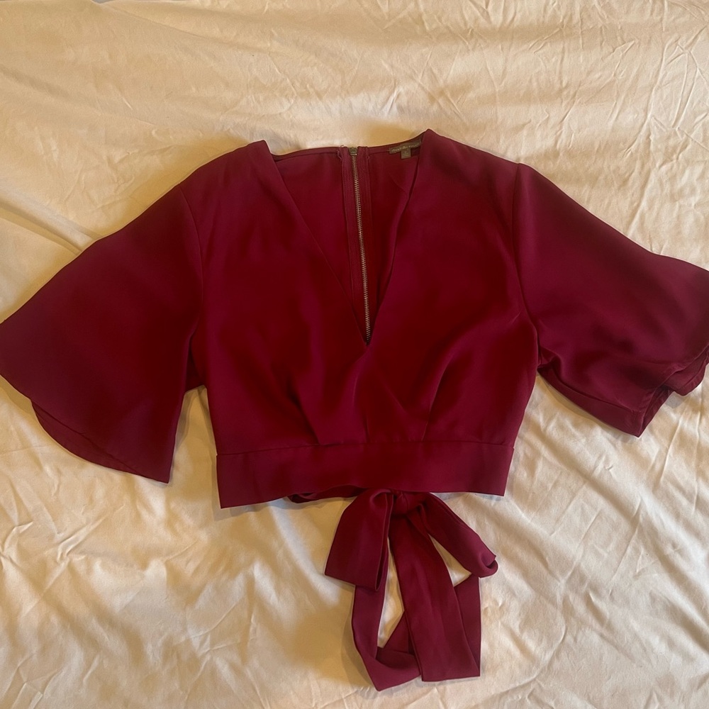 Dark red Charlotte Russe crop top (s)